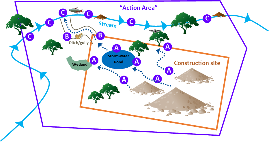 Map showing the "Action area" of possible endangered species, which contains a squared off labeled "construction site" that shows paths of stormwater runoff, a stormwater pond, and nearby wetland.